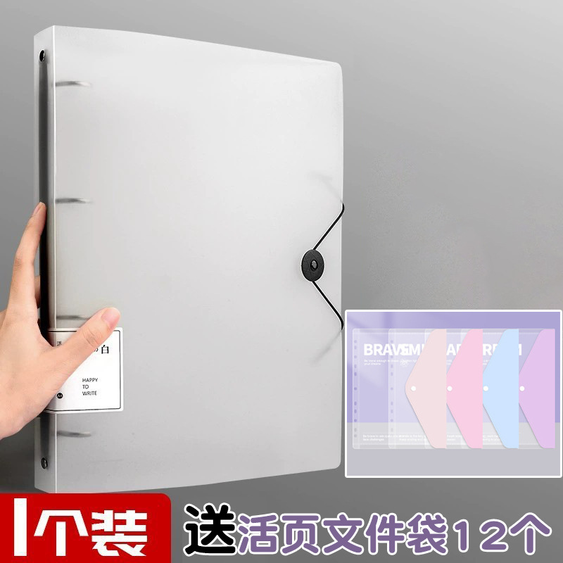 Blanco Transparente - Incluye 12 Páginas Interiores (Un Paquete con Clip Mejorado)