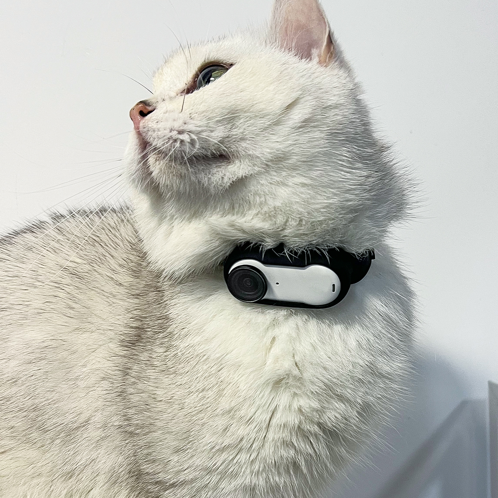 Sunnylife Insta360 GO3 cinta de expansión deportiva de silicona manga protectora correa de muñeca de montaje correa de mochila