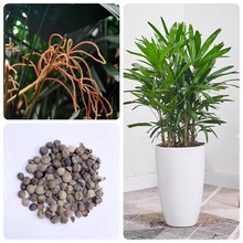 NӳG^~ֲN^Nӽ^ؙ߳ѿ