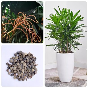 ����N�ӳ��G�^�~ֲ��N���^����N�ӽ��^���ؙ�������߳�ѿ��