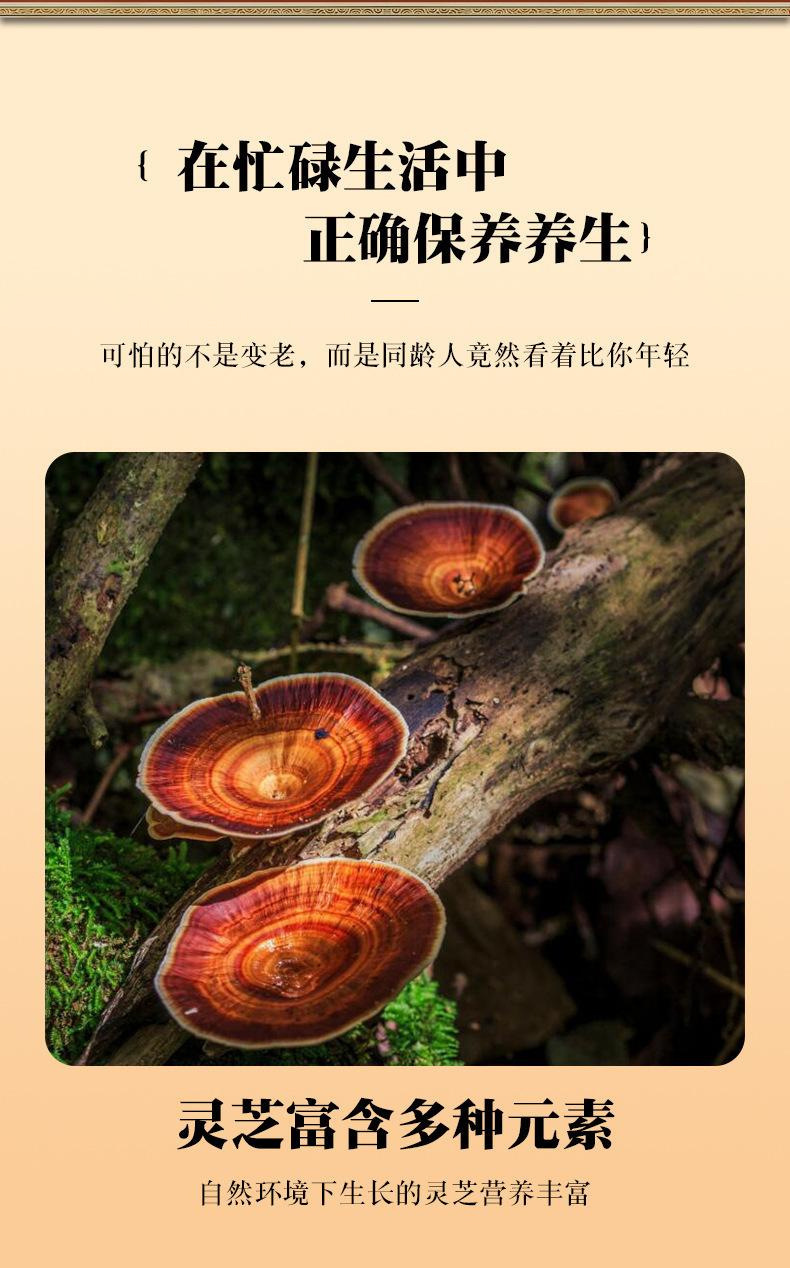 Lingzhi Reishi Mushroom Slices Ganoderma lucidum Dried Herbal Slices for Tea and Decoction 100g Jar quality and texture