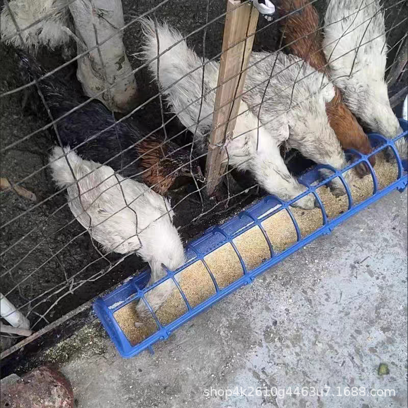 tb_image_share_1728466578624.j