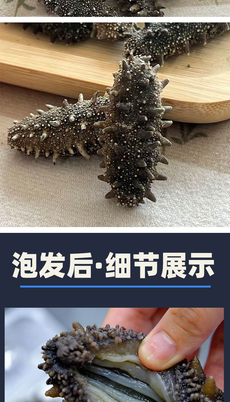 Dalian Lightly Dried Sea Cucumber 8 Year Liaoning Dried Sea Cucumber 50g Gift Box quality and texture