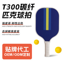 ��óT300̼��ƥ������ pickleballɳ̲�İ����� ֧��OEM/ODM����