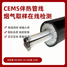 һ�w��cems�����| ���w�O�y����ȡ�ӹ� �����ɘӱ��ع�