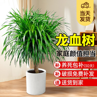 ��Ѫ�������k���҃ȴ��Ϳ͏d���F����լ�Gֲ����Ϙ���������횘�