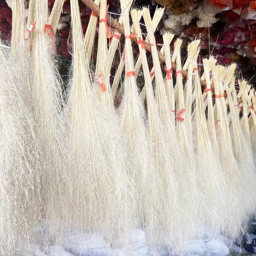 Hollywood Poppy Madder Grass Yunnan Everlasting Flower Dried Flower Home Landscape Background Decoration Flower Material Factory Wholesale Flower Material