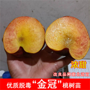 ����������8-5̖�Ҙ���������S�����Ҙ������Ա���ͥԺ���Nֲ