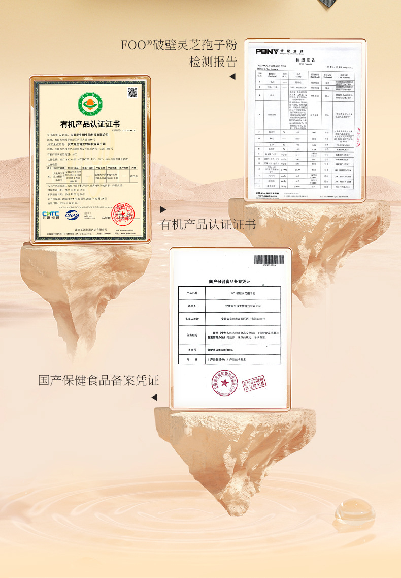 Organic Broken Wall Reishi Spore Powder 60g Box Lingzhi Mushroom Powder for Daily Wellness key features