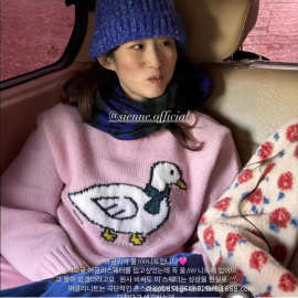 现 韩国小众sien*e小鸭子粉色毛衣宽松圆领趣味可爱减龄针织衫女