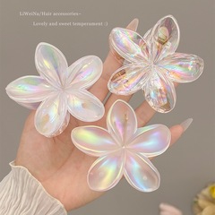 国境を越えた欧米の大サイズの白いABカラーの卵の花はまぶしい色をつかみます。
