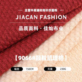 颗粒肌理格布料 230g涤氨弹力双面轻柔针织布 春夏休闲服裙装面料