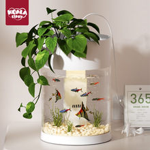 �����������B�~�׃�ͯ�Nֲ�B�~ꖹⷿ�ƌW�����^�쌍���߶Y��