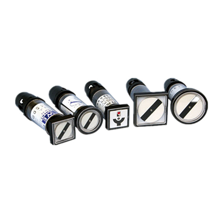 CEWE变送器DPT300 电流表