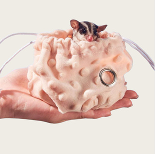 �۴����P�۴�����������qС�۱P�۴� ��������͸�Ᵽů�C��Ʒ