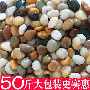 50���Z��ʯ�·䁵�ͥԺ���@�쾰��Ȼ��Сʯ�^�껨ʯԭʯ�Zܛůʯ