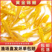 �\���~���~�����^�p�~��ˮ�Lˮ�ͻ��~�����~���~��ˮ����