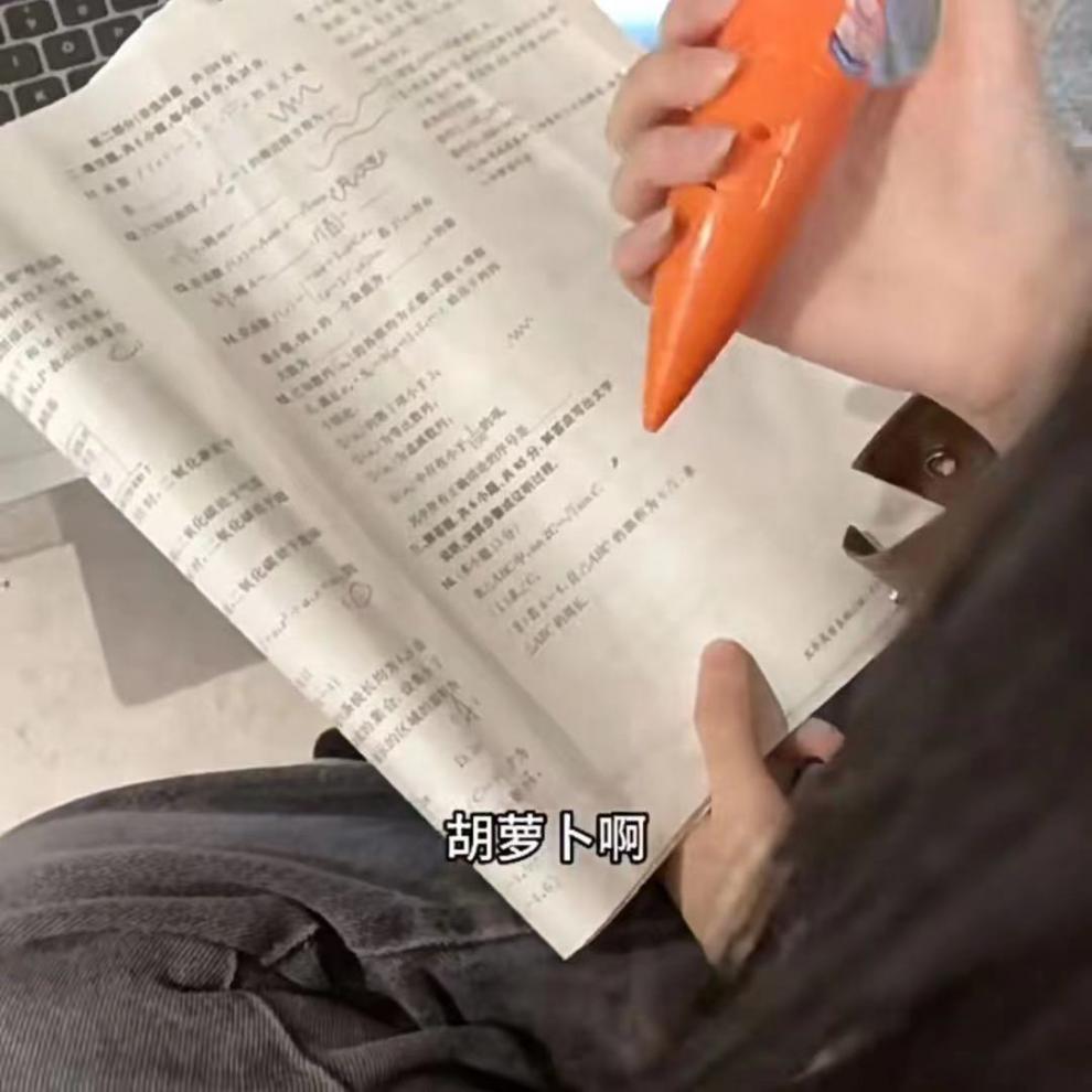 b6259195-1190-47ab-8d95-739b4f34b30b.jpe