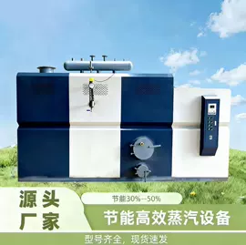 燃生物质锅炉;蒸汽发生器;燃煤锅炉