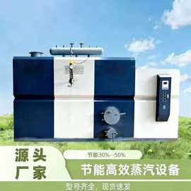 卧式加热蒸汽锅炉全自动工业设备供暖桑拿洗浴节能锅炉