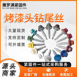 厂家现货烤漆钻尾丝外六角钻尾螺钉彩钢瓦螺钉路绣宝钻尾螺丝