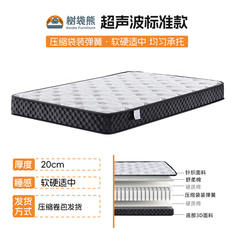 초음파 표준 모델