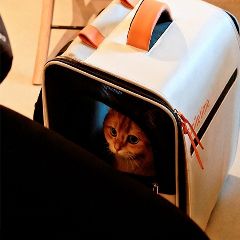 Bailan Pigeon 더블 숄더 캣백 + 사진 촬영 시 피아노 캣 빗 증정