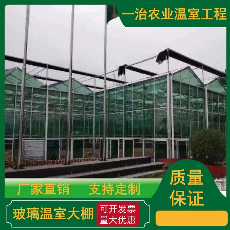 Оптовая продажа стеклянной теплицы, теплицы для фруктов и овощей, цветочная теплица, сельскохозяйственная промышленность, оцинкованная теплица из труб горячего дип