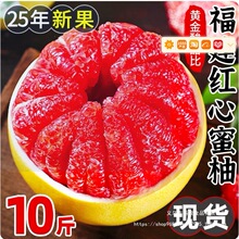 10�gϪ�����ְ��]���Ӽt���ּt������r�������t����ƽ��ˮ������