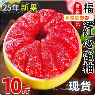 10�gϪ�����ְ��]���Ӽt���ּt������r�������t����ƽ��ˮ������