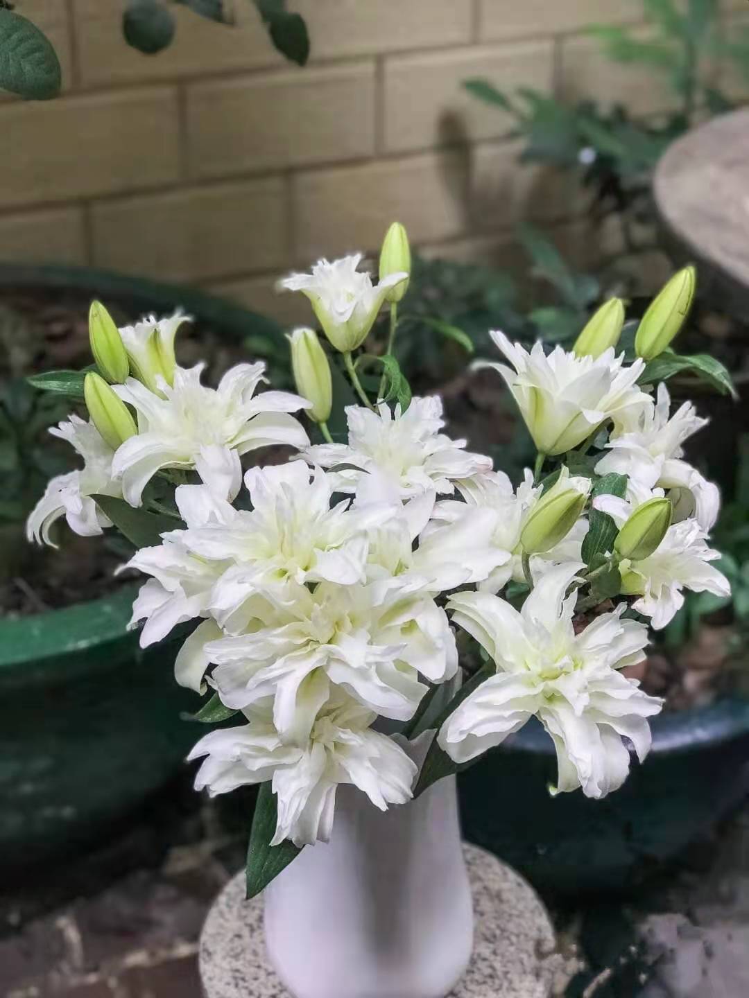 Air transport Long Plena Lily ski flower arrangement One piece On behalf of