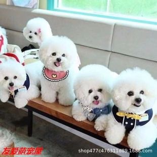 ��ȮС�w�׹����w���ﹷ�� ���N������ȮС�w�豭Ȯ�nϵ���ܰ�ɫ