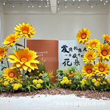 �������տ����滨�b��������쾰�̘I��ꐷՇ��Й�����ˇ�[��