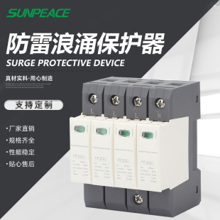 Surge Arrester Surge Protector 1P2P3P4P20Ka40Ka Ac385V Photovoltaic Solar Lightning Protection