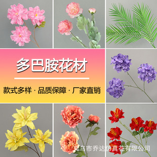 ��Ͱ���Y���÷��滨���Ĳ����ٻ������쾰�����W�t��Ī�λ��@