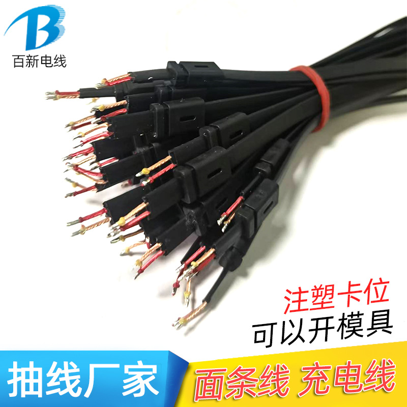 厂家批发 2芯扁平漆包线 柔软面条线大电流充电线打卡未两头剥皮