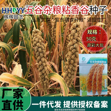 ����s�Zճ��ȷN��С���׷N�ӹ��ӷN���ļ����N�ͺ��͟���ճ�׷N