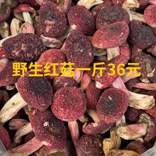 福建武夷山红菇野生红菇红蘑菇干货红菌干货滋补月子菇产地批发价