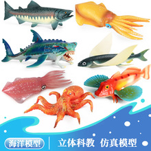 ��ͯ�J֪���挍�ĺ�������ģ���������~�G���~�����~�~����ߔ[��