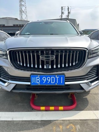 Applicable to Geely XingyueL (Monjaro) Insect Net Modification Appearance Stereo Sticker