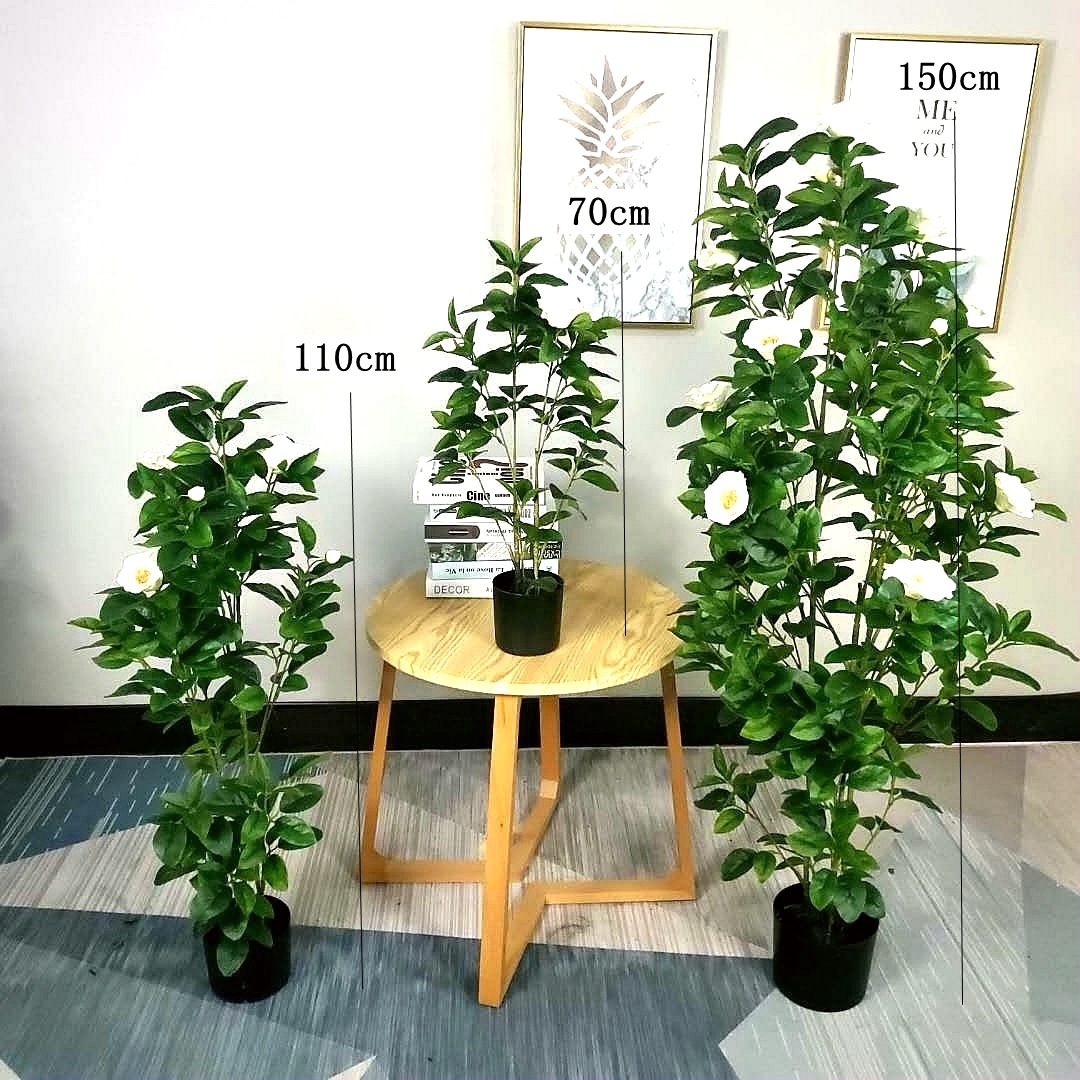 微信图片_20200619093738