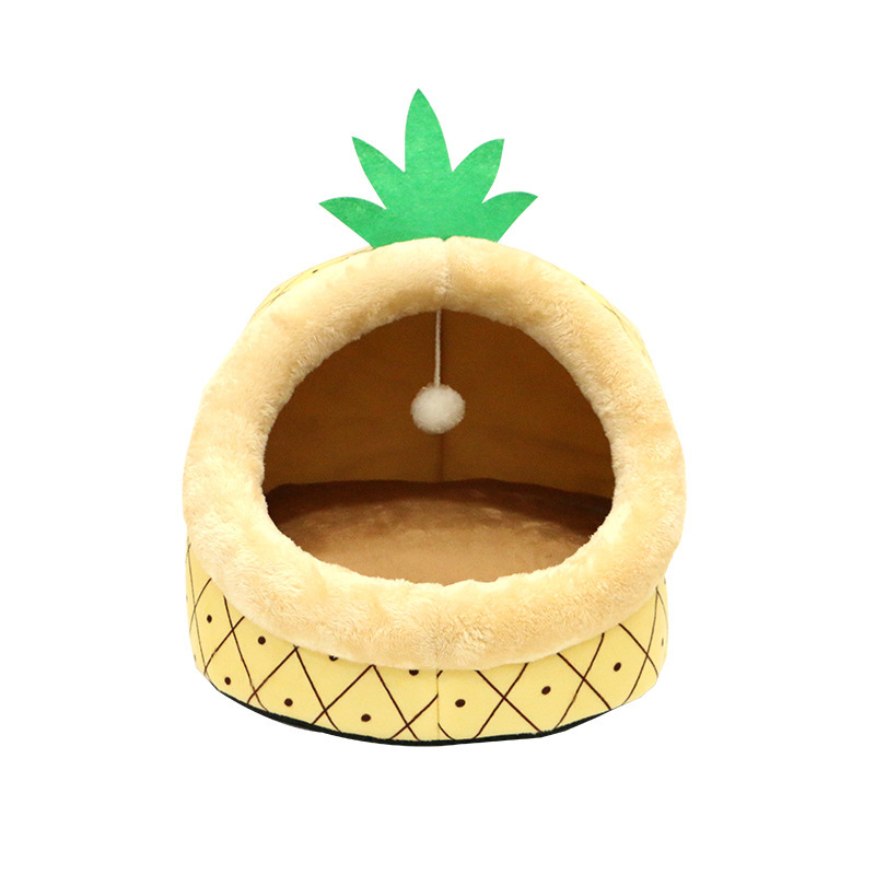 파인애플 고양이 둥지