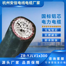 Xо|͉0.6/1ǧZR-YJLV1*300ƽX|Sl