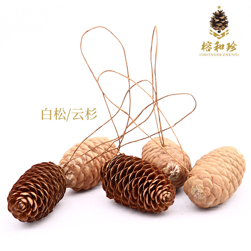 Customized Pine Cones with Iron Wire for Christmas Tree Decorations, 19 Different Sizes, 24-Hour Delivery, Bulk Discounts on Plants