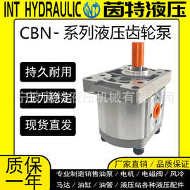 液压高压齿轮泵CBN-F310/304/314/320液压小型油泵总成液压配件