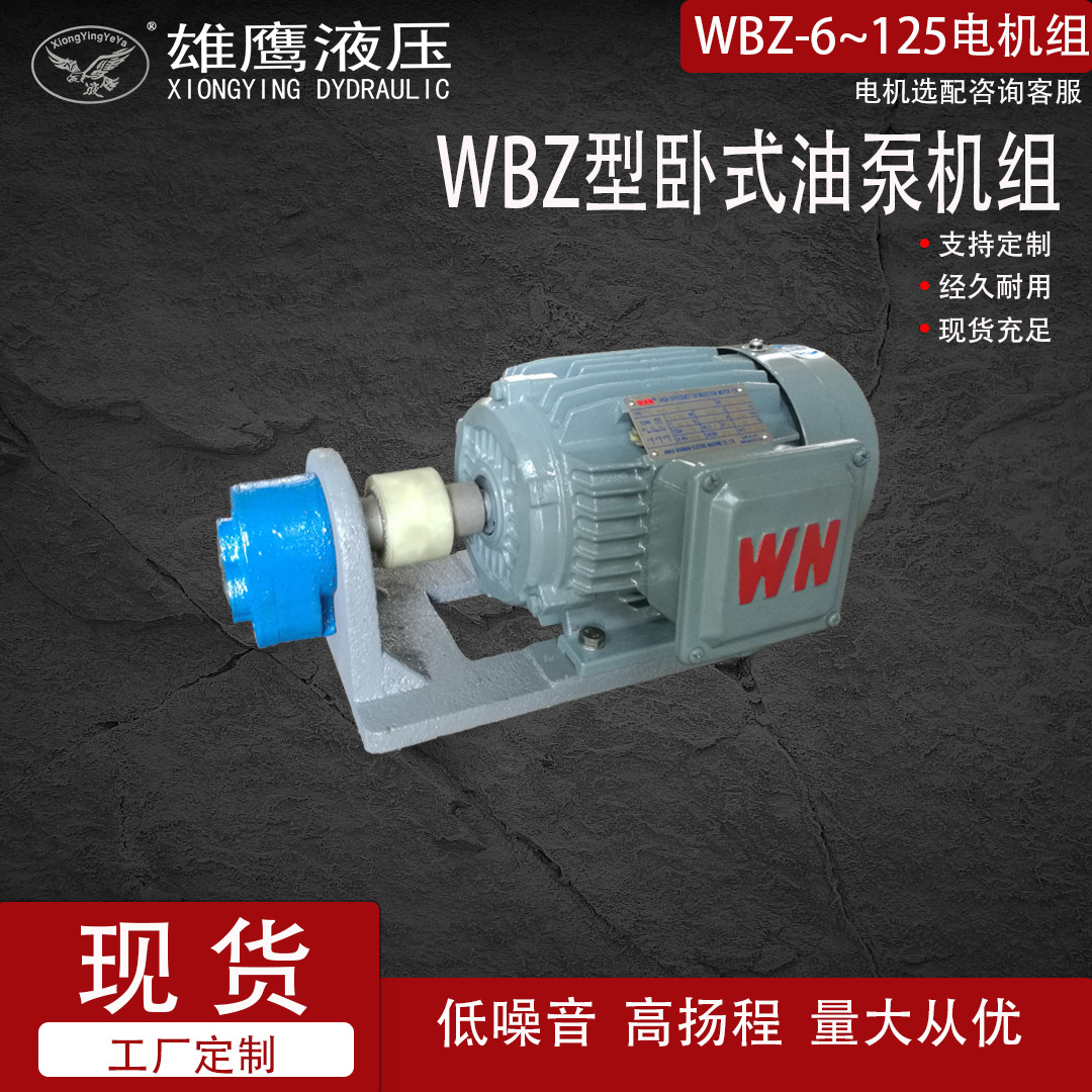 WBZ油泵机组 结构紧凑 齿轮泵电机组润滑油泵 大流量齿轮泵厂家