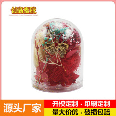 メーカー卸売 アクリルPSプラスチック防塵カバー 永遠の花 透明マイクロランドスケープ デスクトップ装飾 ビジネスギフト
