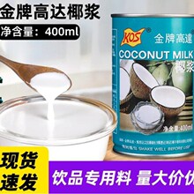 高达椰浆甄想记高浓度浓缩椰汁椰奶罐装水果捞西米露材料烘焙