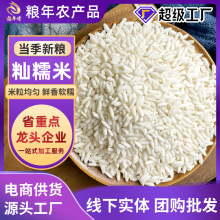 新鲜长粒糯米2.5Kg真空包装煮粥酿酒饭团糕点原料五谷杂粮白糯米