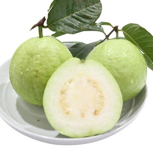 �V����ʯ��5�︣������������İŘ� ���r�Ꭷˮ�� ���Fժ